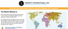 Amnesty International USA - Light Up the World