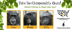 The Humane Society of the United States - Chimpanality Quiz