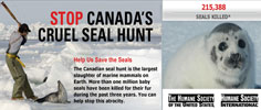 The Humane Society of the United States - Stop Canada's Cruel Seal Hunt